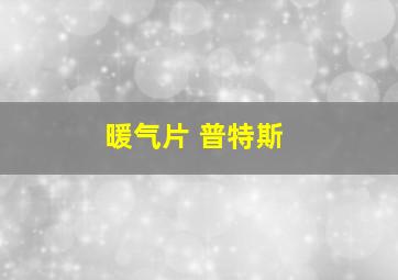 暖气片 普特斯